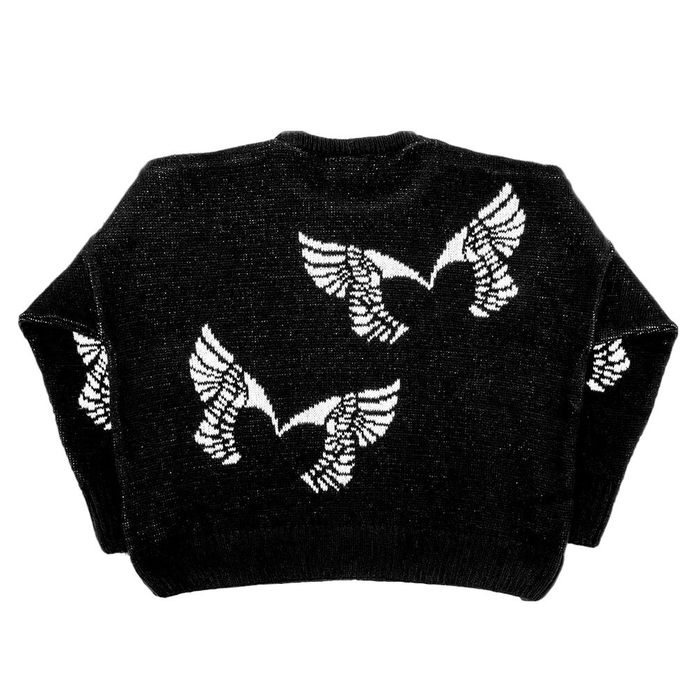 Placebo Wings Knitted Jumper