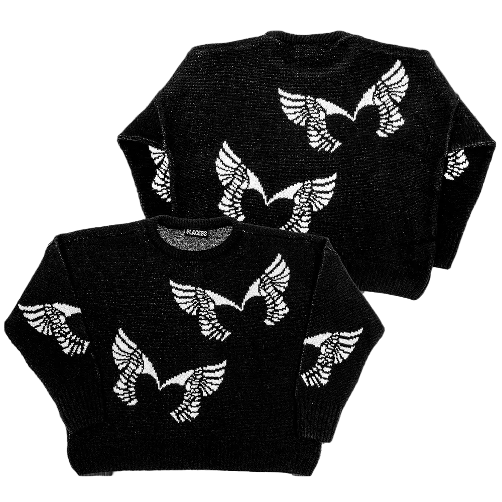 Placebo Wings Knitted Jumper